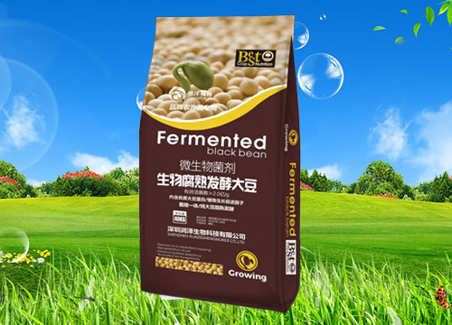 生物腐熟发酵大豆