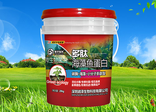 多肽海藻鱼蛋白桶